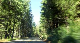 Fahrt durch den Sequoia NP