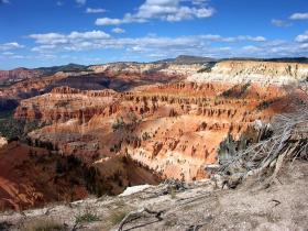 Cedars Break NM