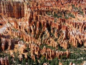 Bryce NP