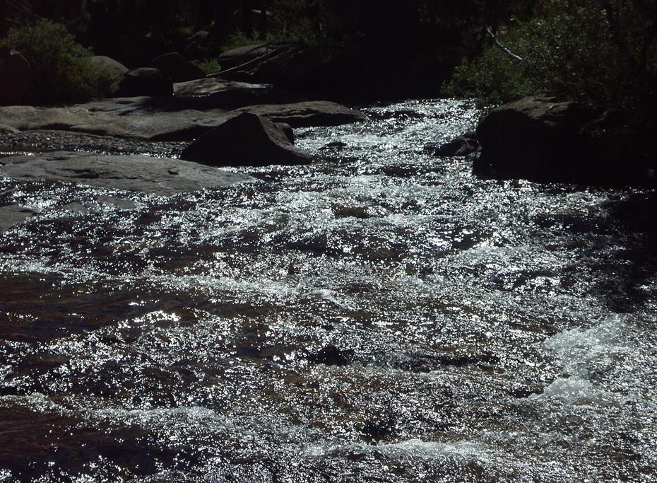 Lyell Fork, Yosemite NP