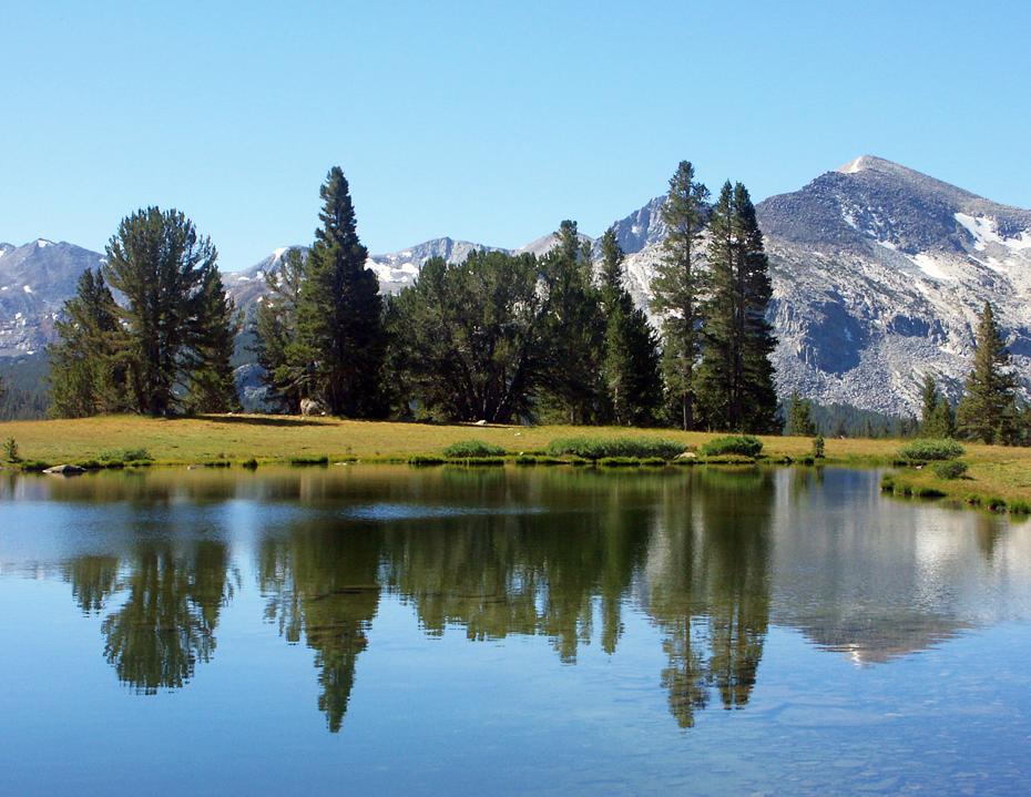 Tioga Lake, Yosemite NP