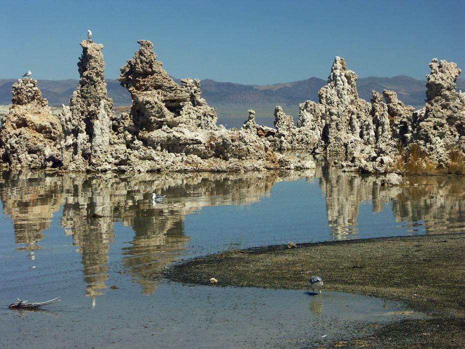 Mono Lake SP