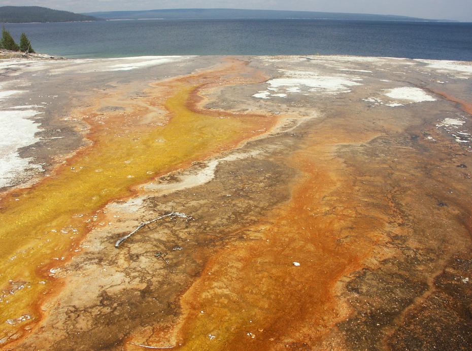 Heißwasserrinne in den Yellowstone Lake, Yellowstone NP