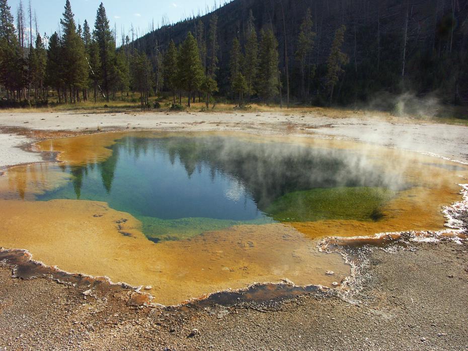 Geysierbecken, Yellowstone NP