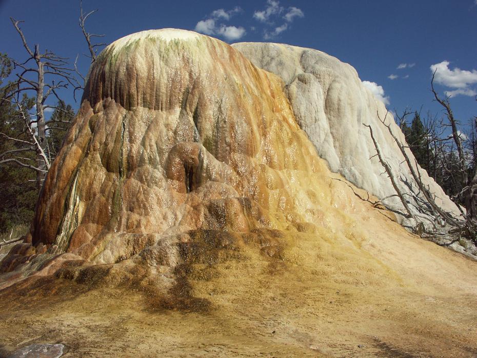 Upper Mammoth Hot Springs terrace, Yellowstone NP
