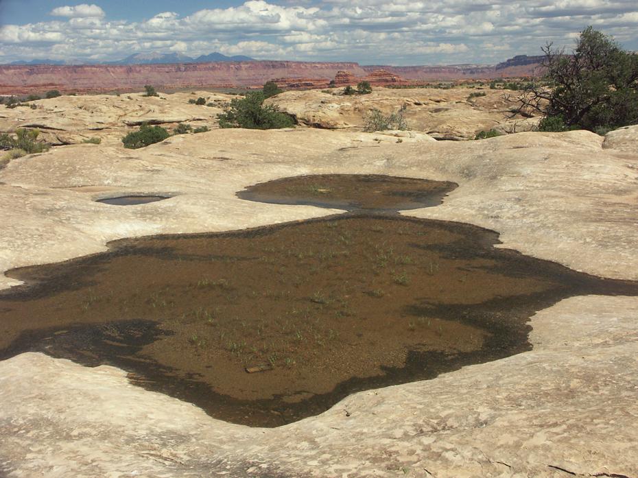 Pothole Point, Canyonlands NP