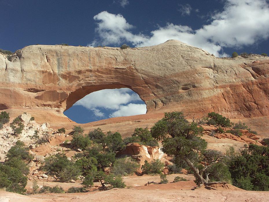 Wilson Arch