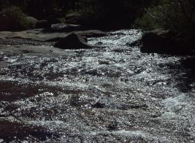 Lyell Fork, Yosemite NP