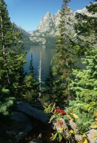 Jenny Lake, Teton NP