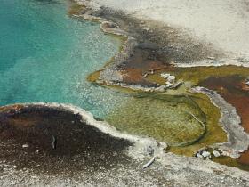 Geysierbecken, Yellowstone NP