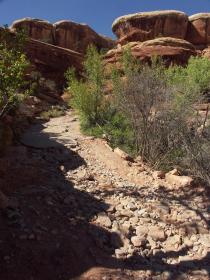 4WD Road am Bigspring Canyon Overlook, Canyonlands NP