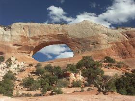 Wilson Arch