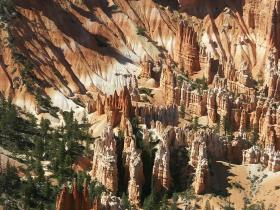 Deatil im Amphitheater, Bryce Canyon NP