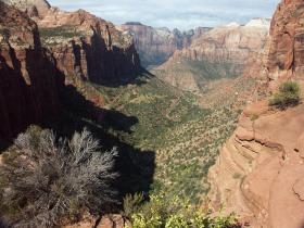 Zion Canyon, Zion NP