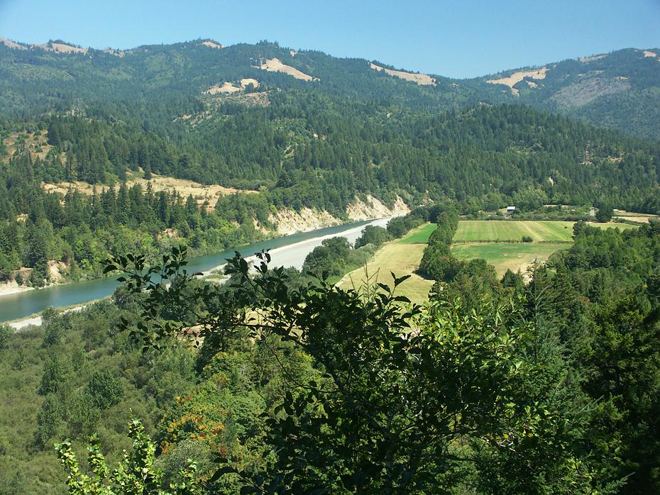 Blick von einem Hügel bei der Avenue of the Giants, CA