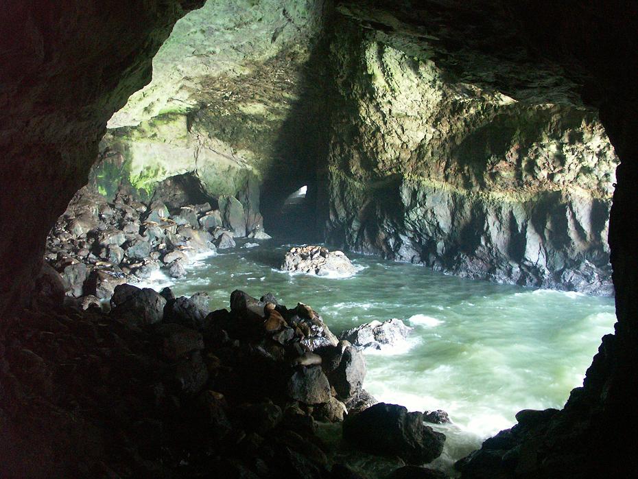 Sea Lion Caves, OR