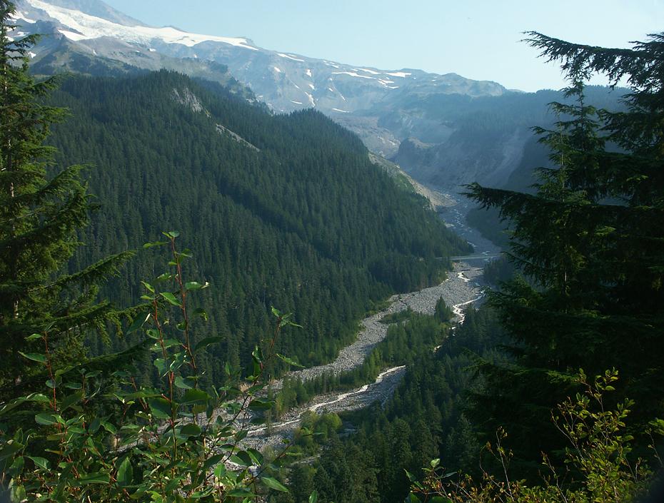 Gletscherzunge im Mt. Rainier NP, WA
