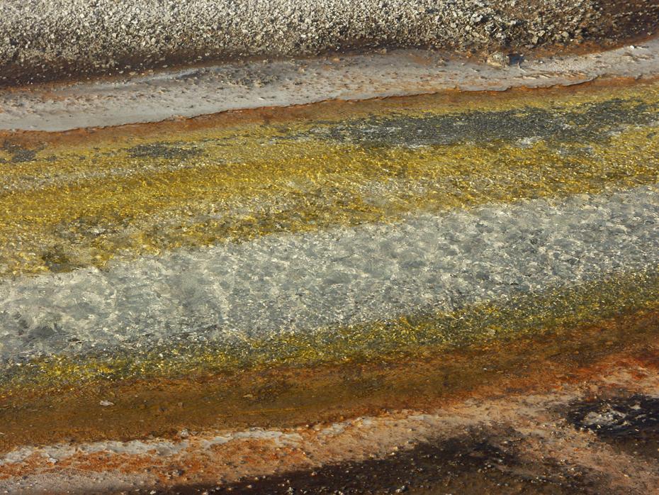 Black Sand Geyser Basin, Yellowstone NP, WY