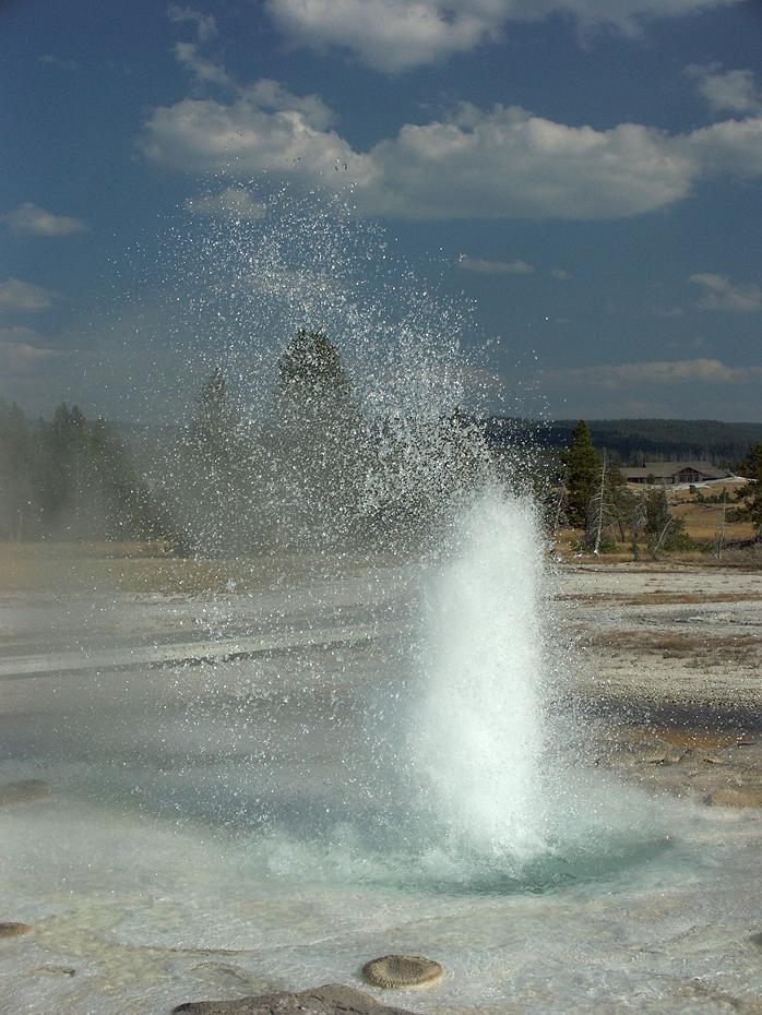 Upper Basin, Yellowstone NP, WY