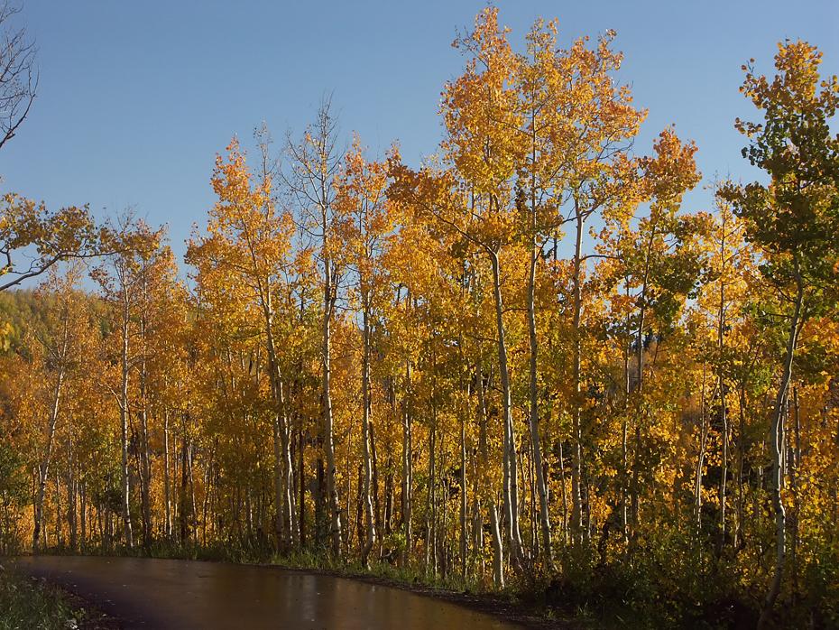 Grand Mesa NF