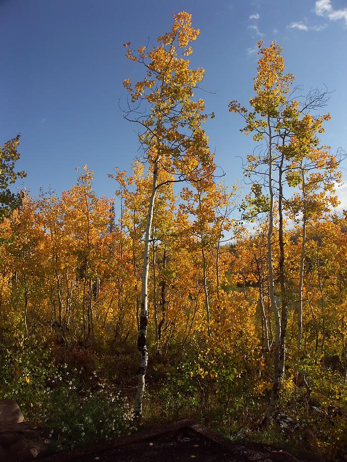 Grand Mesa NF
