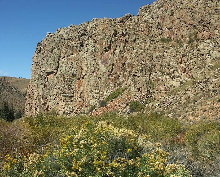 Gunnison NF, CO
