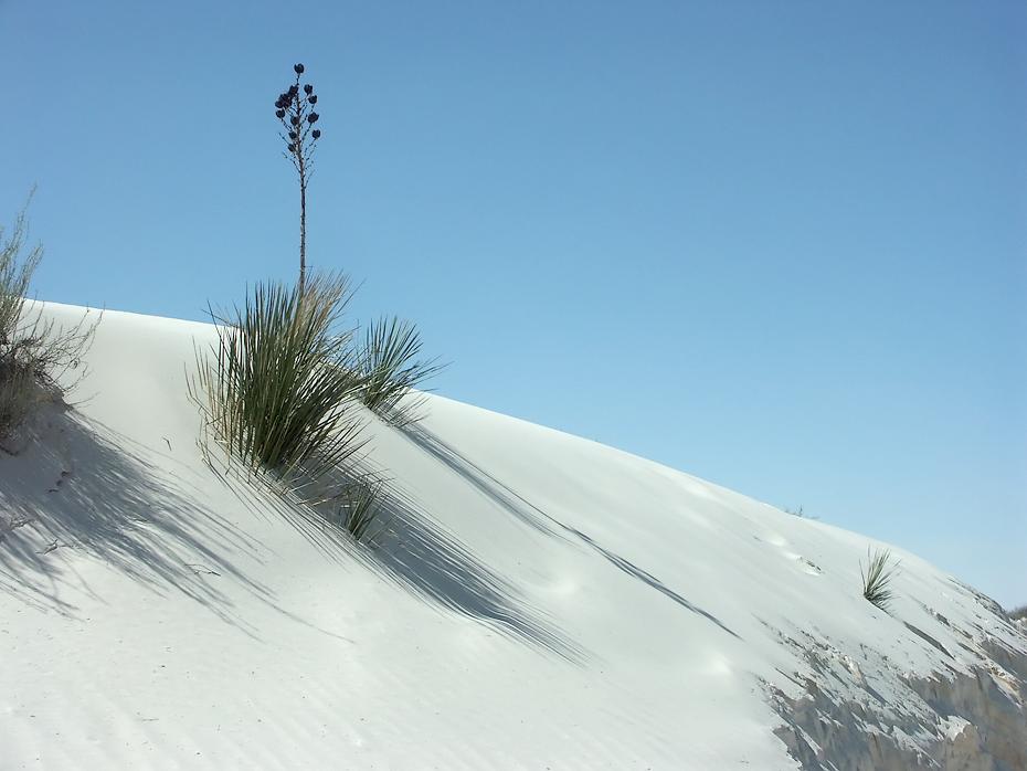White Sands NP, NM
