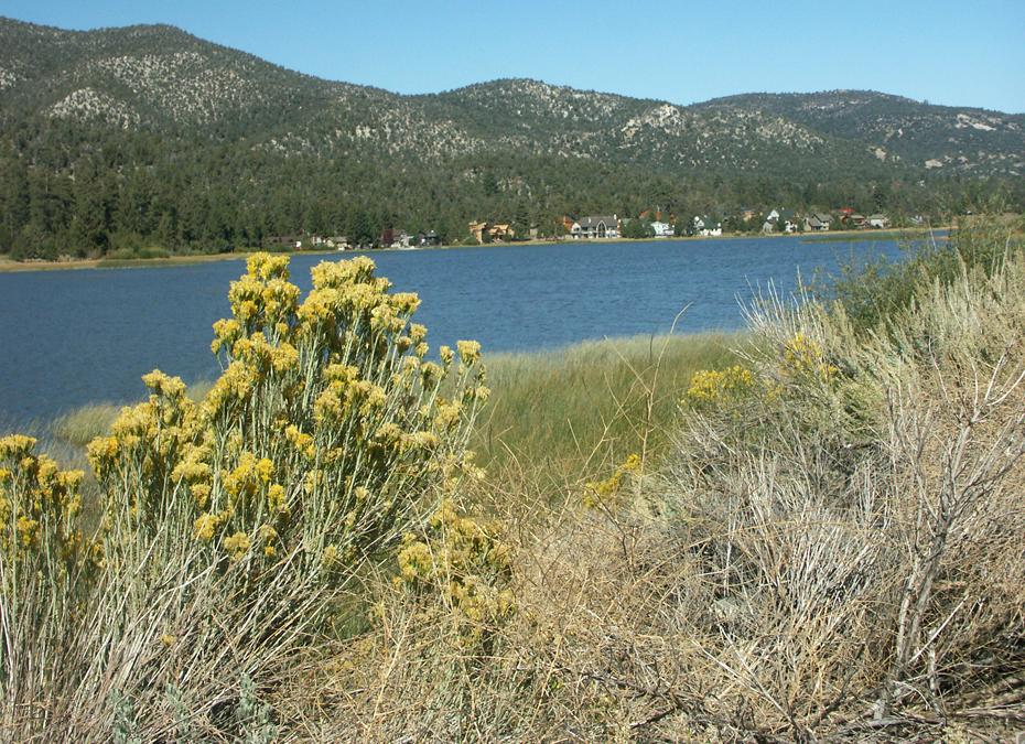 Bear Lake, CA