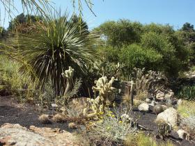 Trocken ist es im botanischen Garten von Santa Barbara