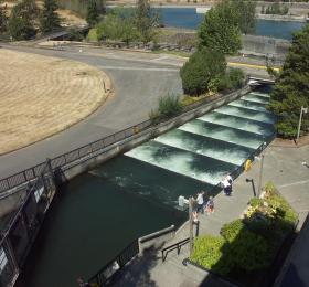 Fischleiter beim Bonneville Dam, OR