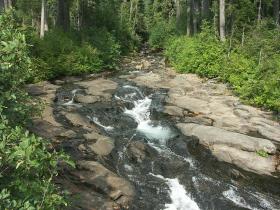 Bach im Mt. Rainier NP, WA