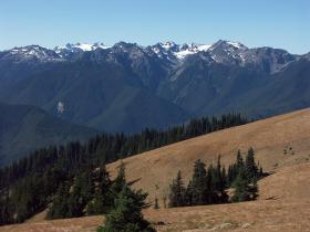Hurricane Ridge, Olympic NP, WA
