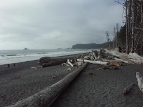 Rialto Beach, Olympic NP, WA