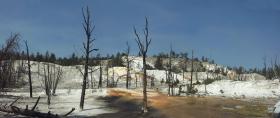 Mammoth Hot Springs, Yellowstone NP, WY