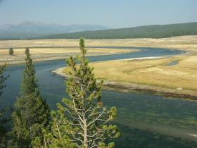 Yellowstone NP, WY