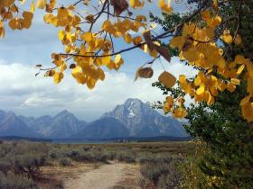 Teton NP, WY