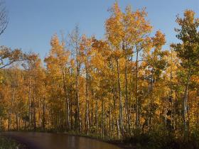 Grand Mesa NF