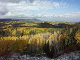 Blick über den Grand Mesa NF, CO