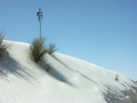 White Sands NP, NM