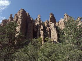 Organ Pipe, Chiricahua NM, AZ