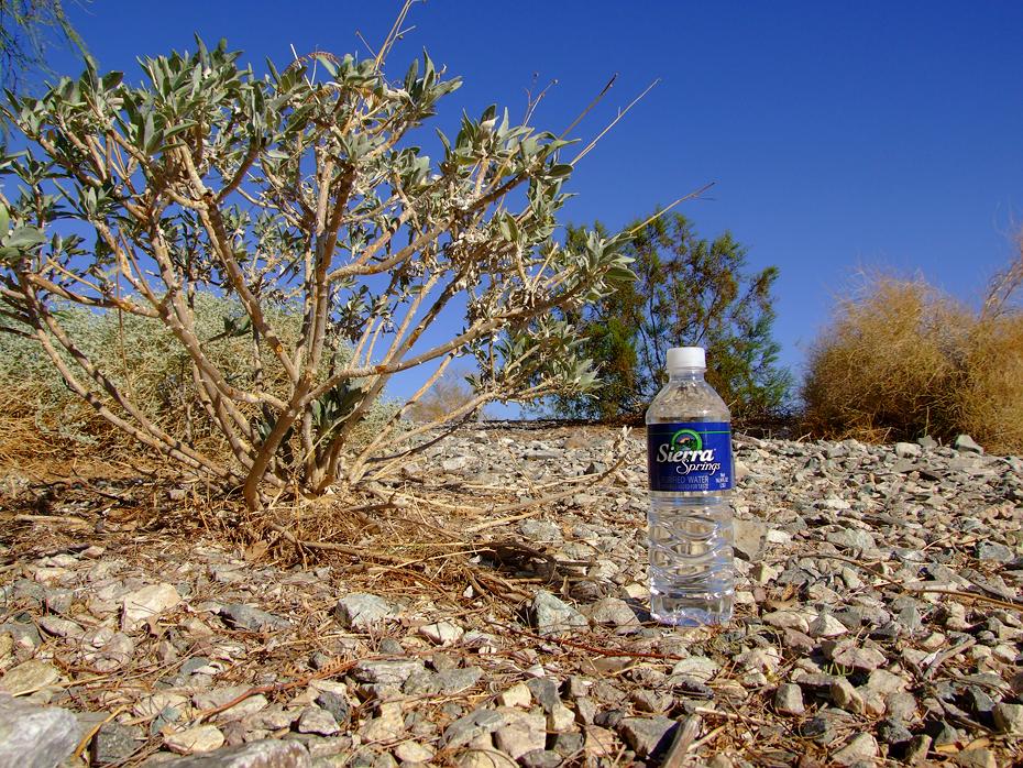 Monks Wasser - Sierra Springs