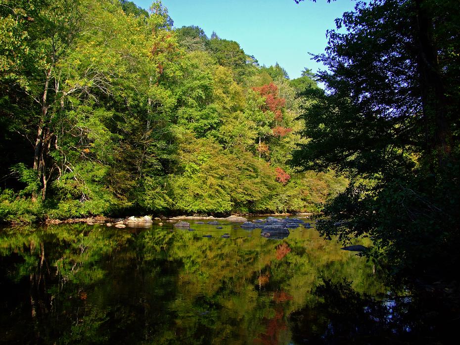 Tellico River,  NC