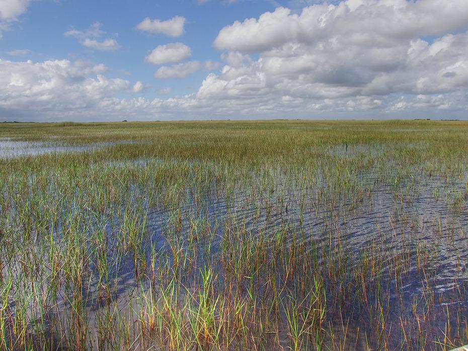 Die Everglades, FL