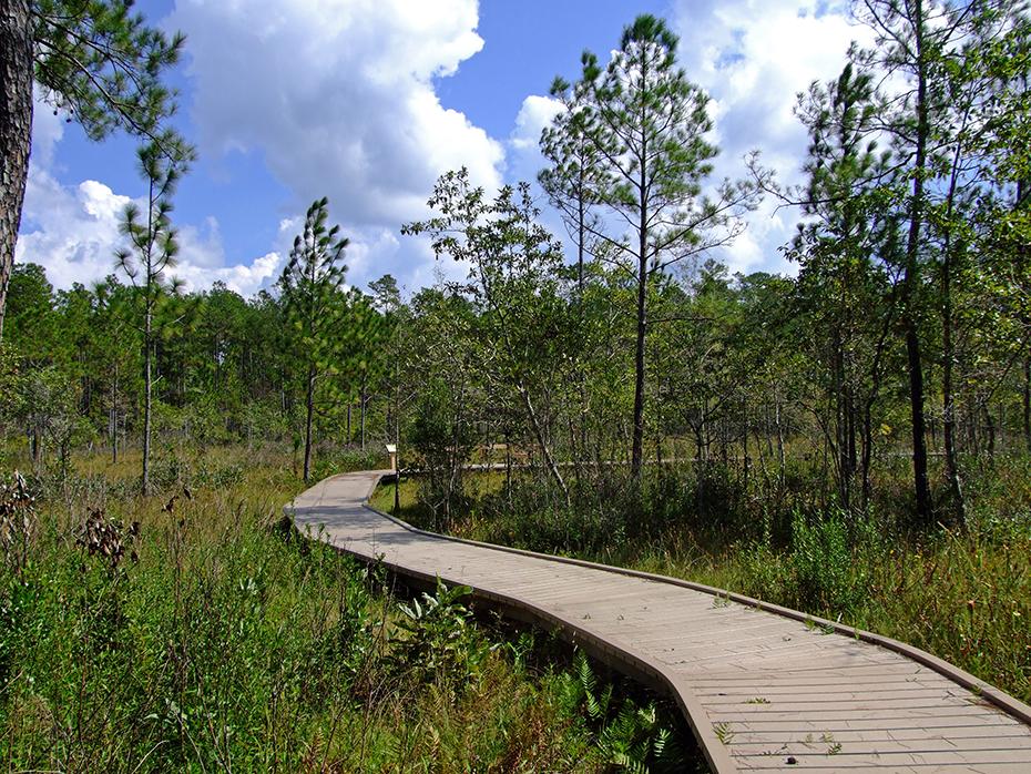 Boardwalk durch die saure Wiese, Big Thicket National Preserve, TX