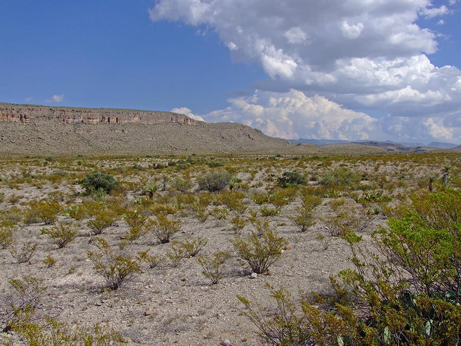 Wüste im Big Bend NP, TX
