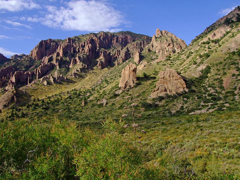 Berge auf dem Weg zurück zum Campingplatz, Big Bend NP, TX