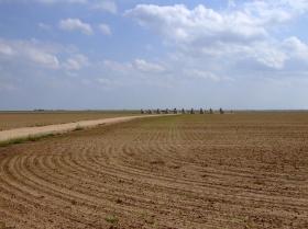 Cadillac Ranch, bei Amarillo, TX