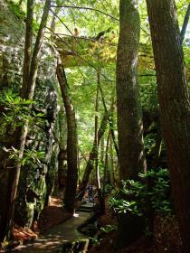 Rock City, Lookout Mtn, Chattanooga, TN