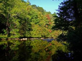 Tellico River,  NC