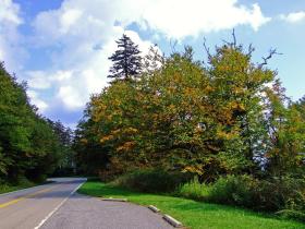 Great Smoky NP, NC